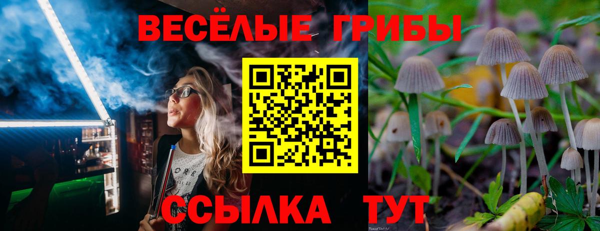Галлюциногенные грибы ЛСД Борзя
