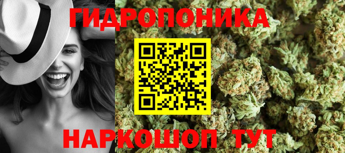 Шишки марихуана план Борзя